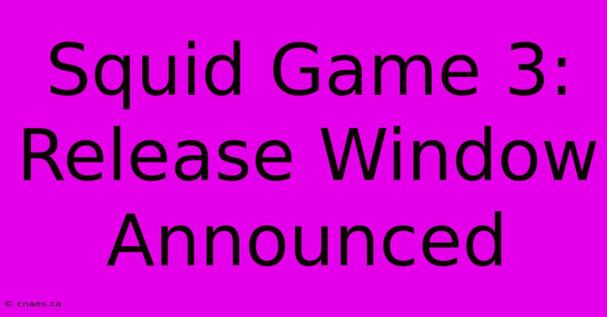 Squid Game 3: Release Window Announced