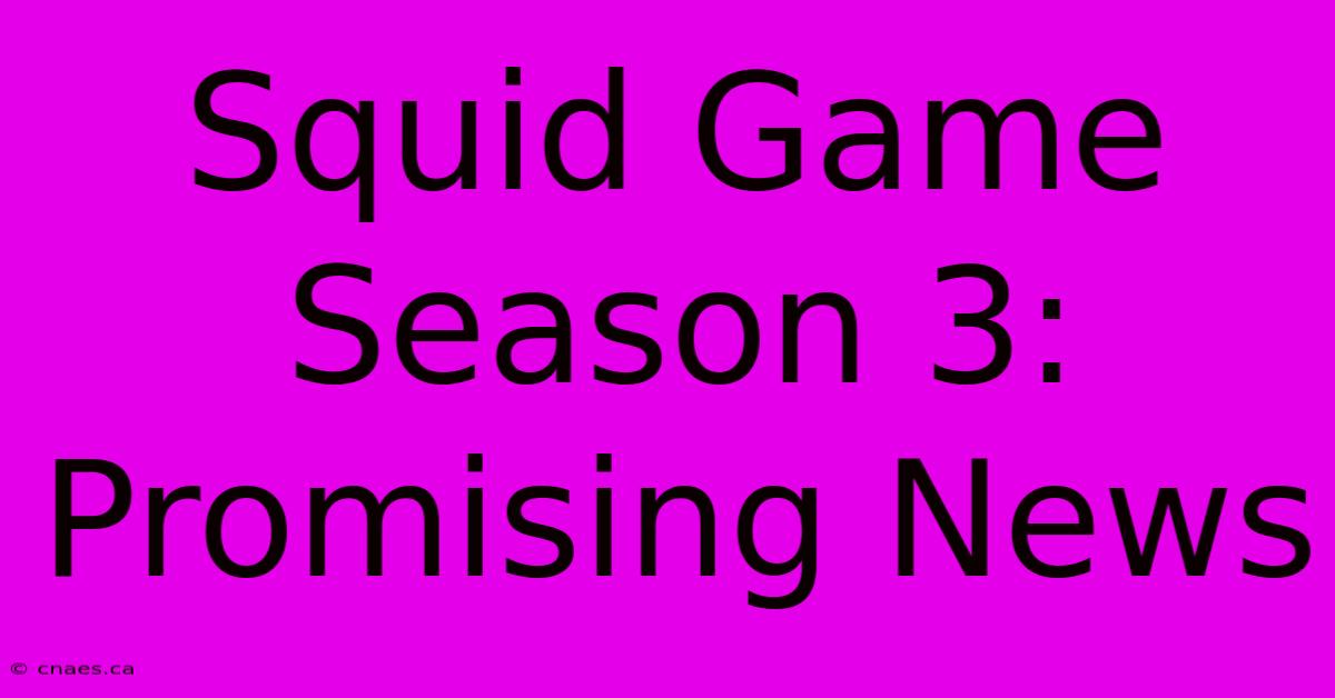 Squid Game Season 3: Promising News