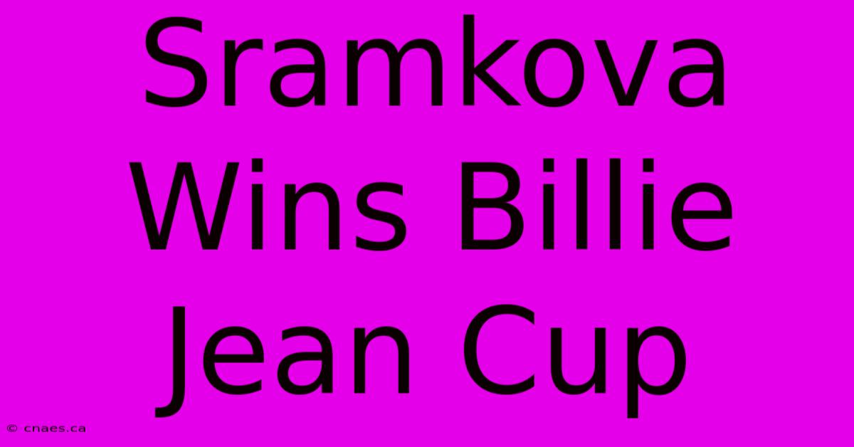 Sramkova Wins Billie Jean Cup