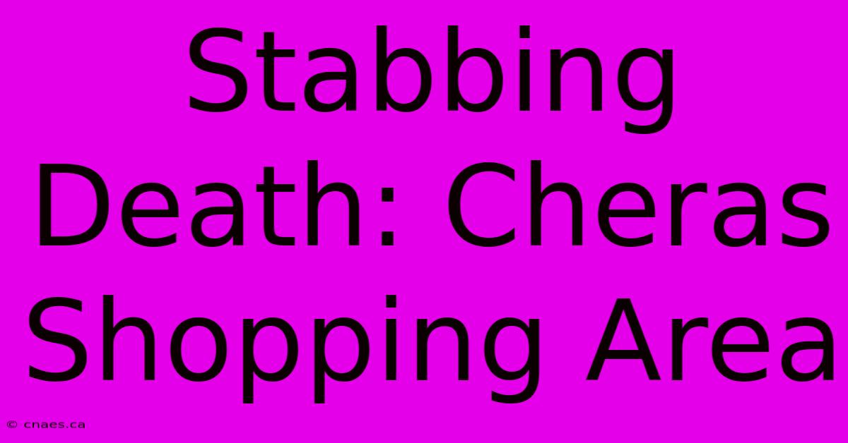 Stabbing Death: Cheras Shopping Area