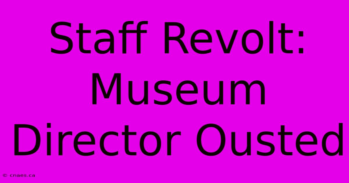 Staff Revolt: Museum Director Ousted