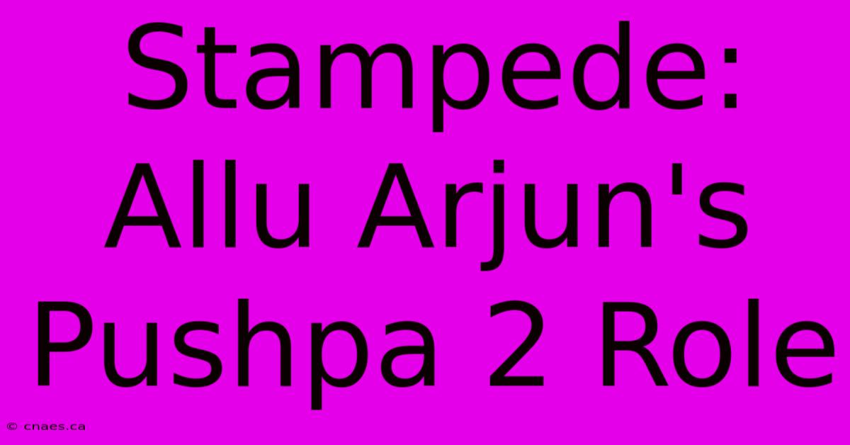 Stampede: Allu Arjun's Pushpa 2 Role