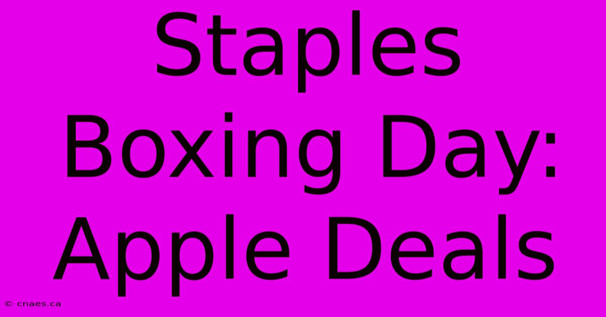 Staples Boxing Day: Apple Deals