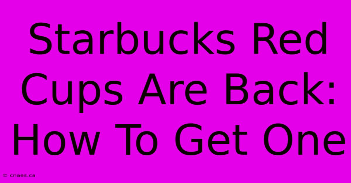 Starbucks Red Cups Are Back: How To Get One