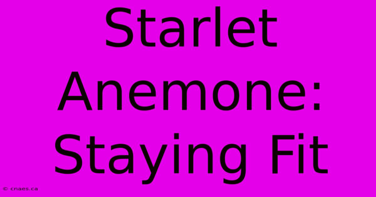 Starlet Anemone: Staying Fit