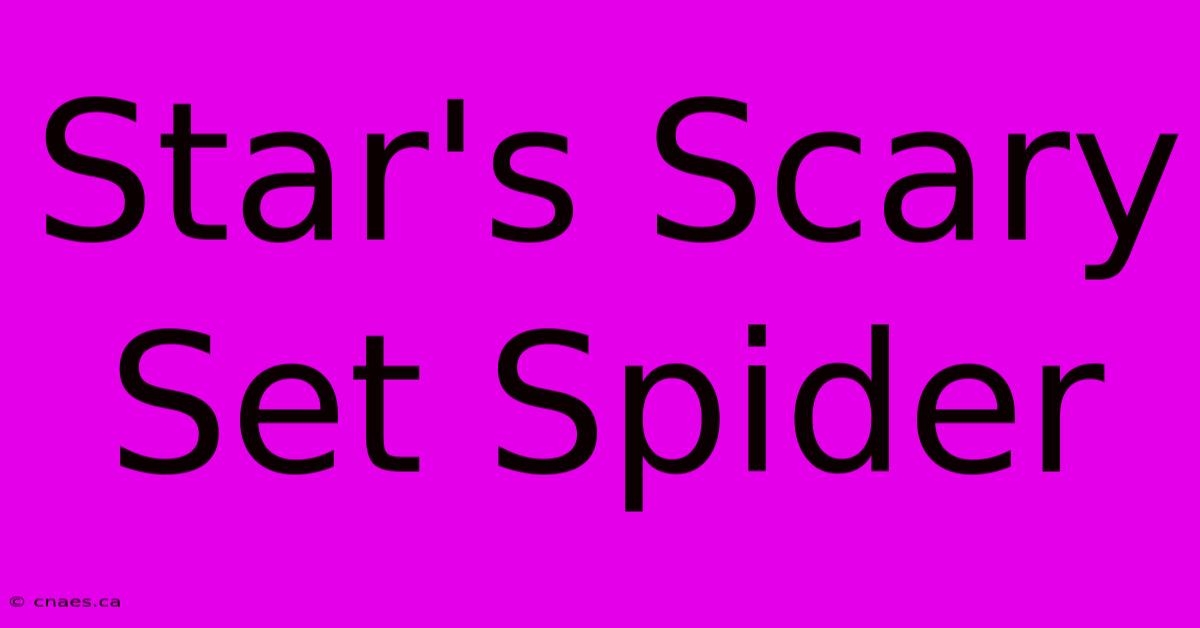 Star's Scary Set Spider