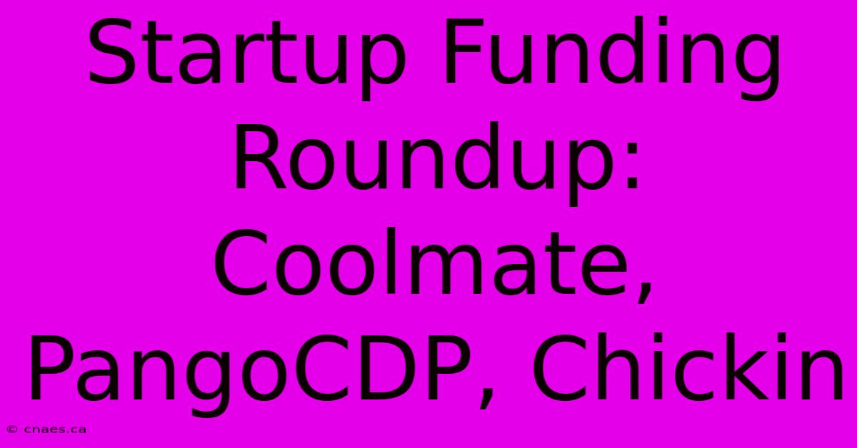 Startup Funding Roundup: Coolmate, PangoCDP, Chickin