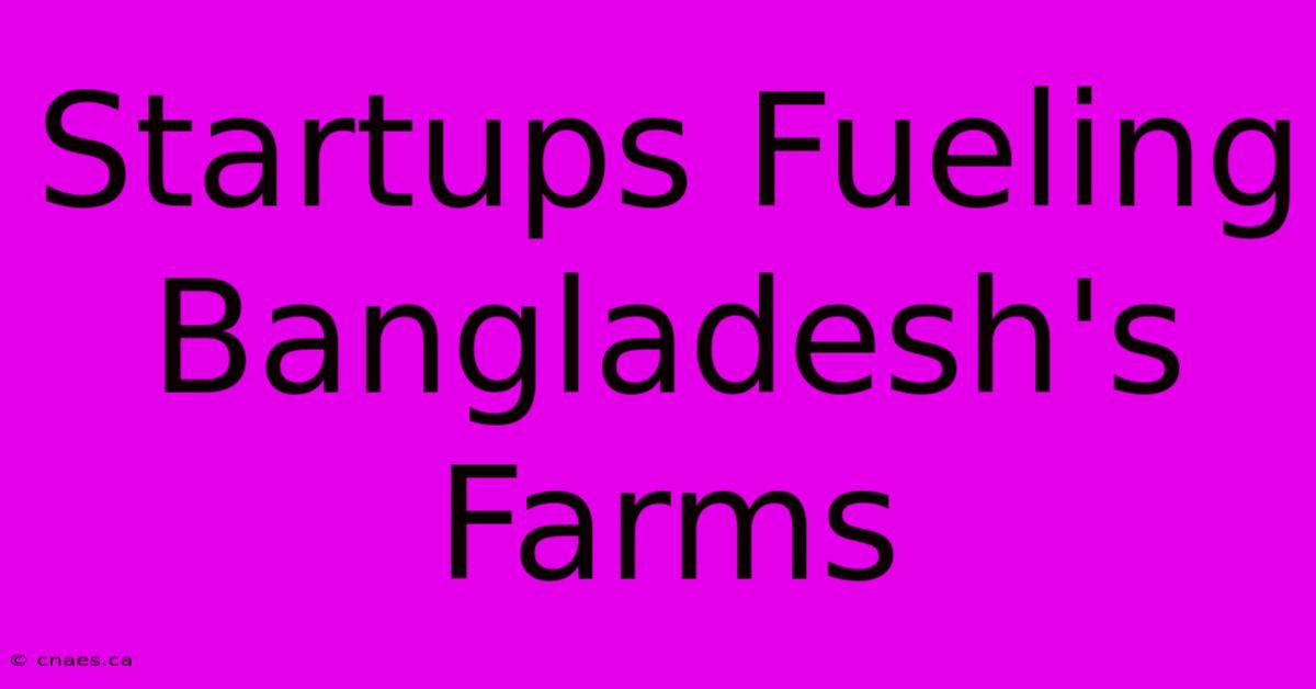 Startups Fueling Bangladesh's Farms