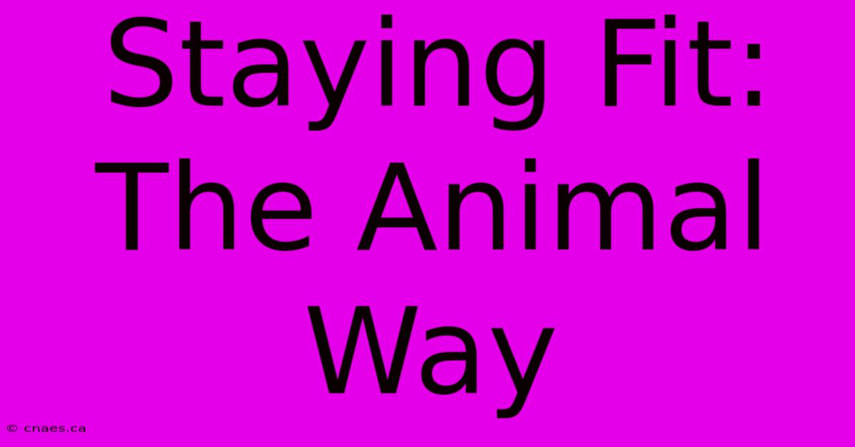 Staying Fit: The Animal Way