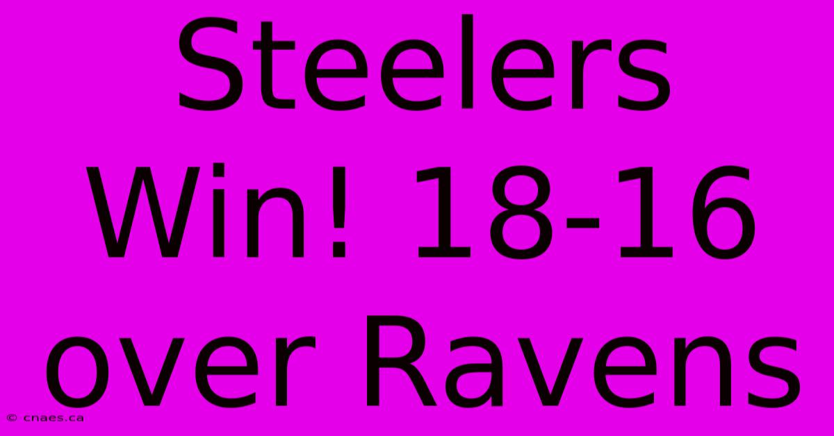 Steelers Win! 18-16 Over Ravens