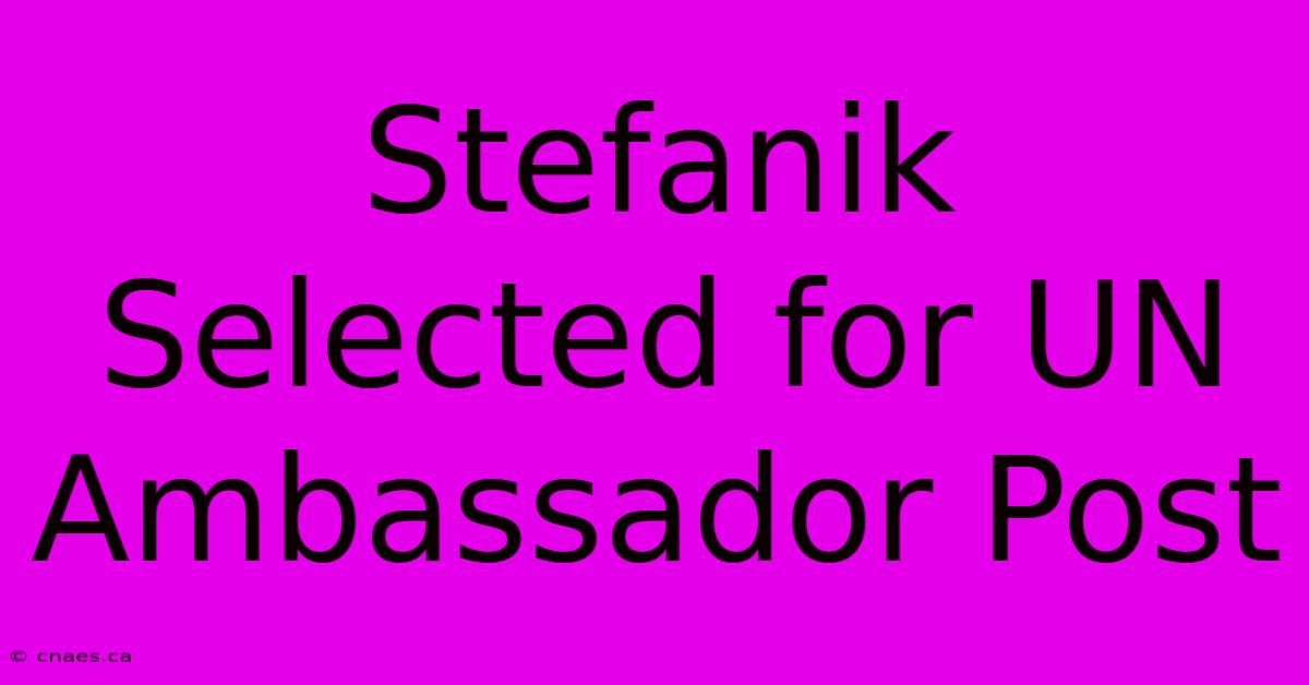 Stefanik Selected For UN Ambassador Post