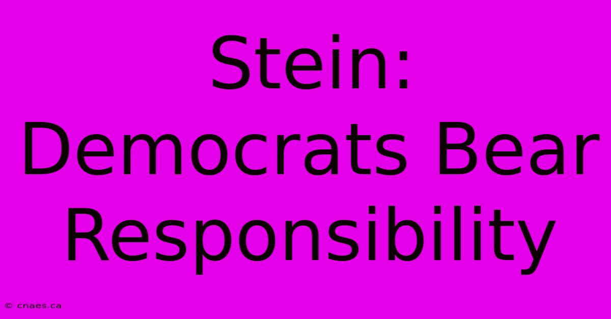 Stein: Democrats Bear Responsibility