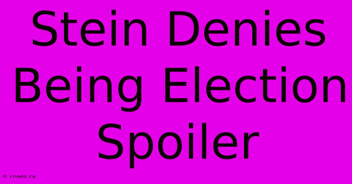 Stein Denies Being Election Spoiler