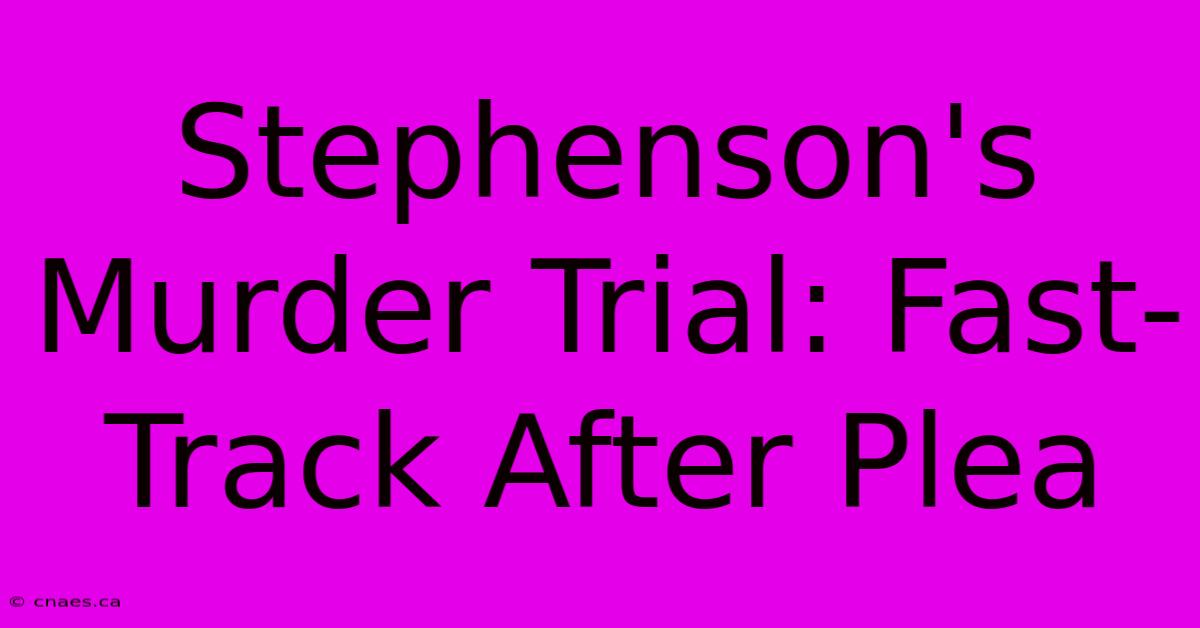 Stephenson's Murder Trial: Fast-Track After Plea