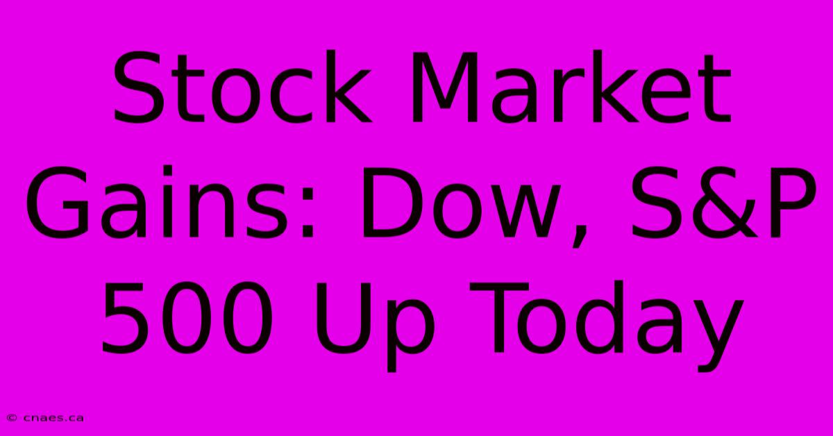 Stock Market Gains: Dow, S&P 500 Up Today 