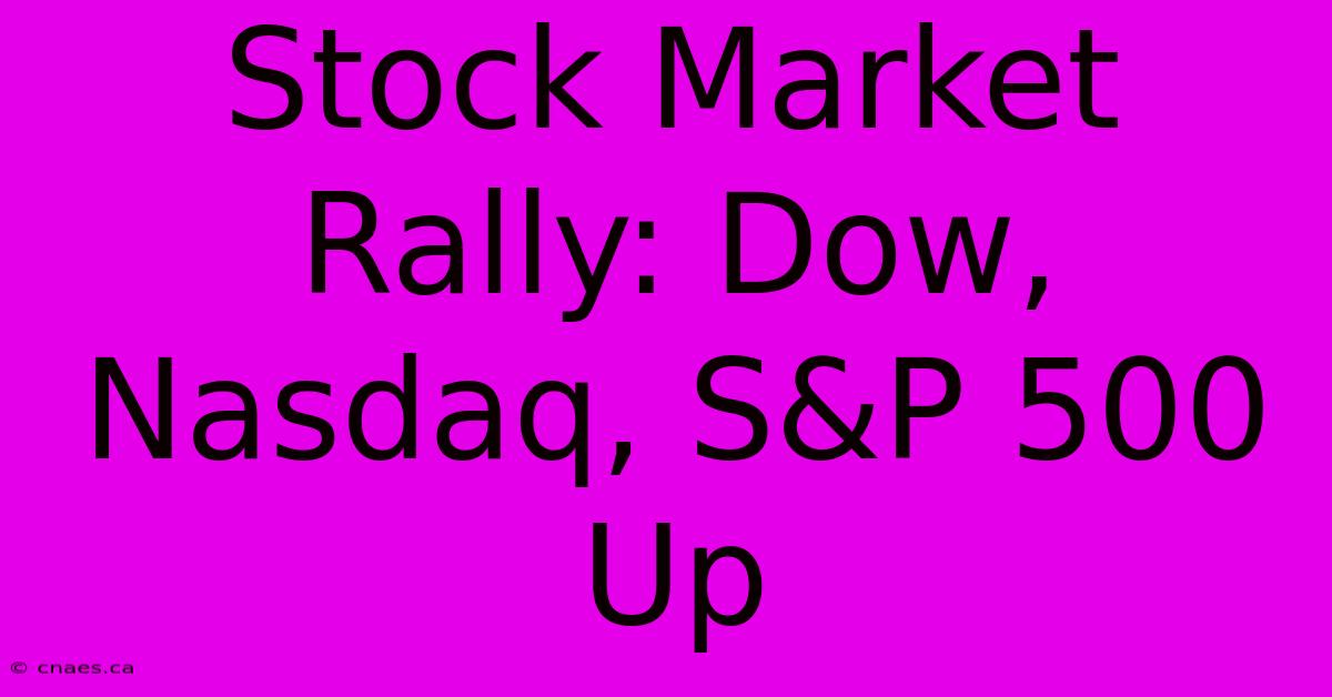 Stock Market Rally: Dow, Nasdaq, S&P 500 Up