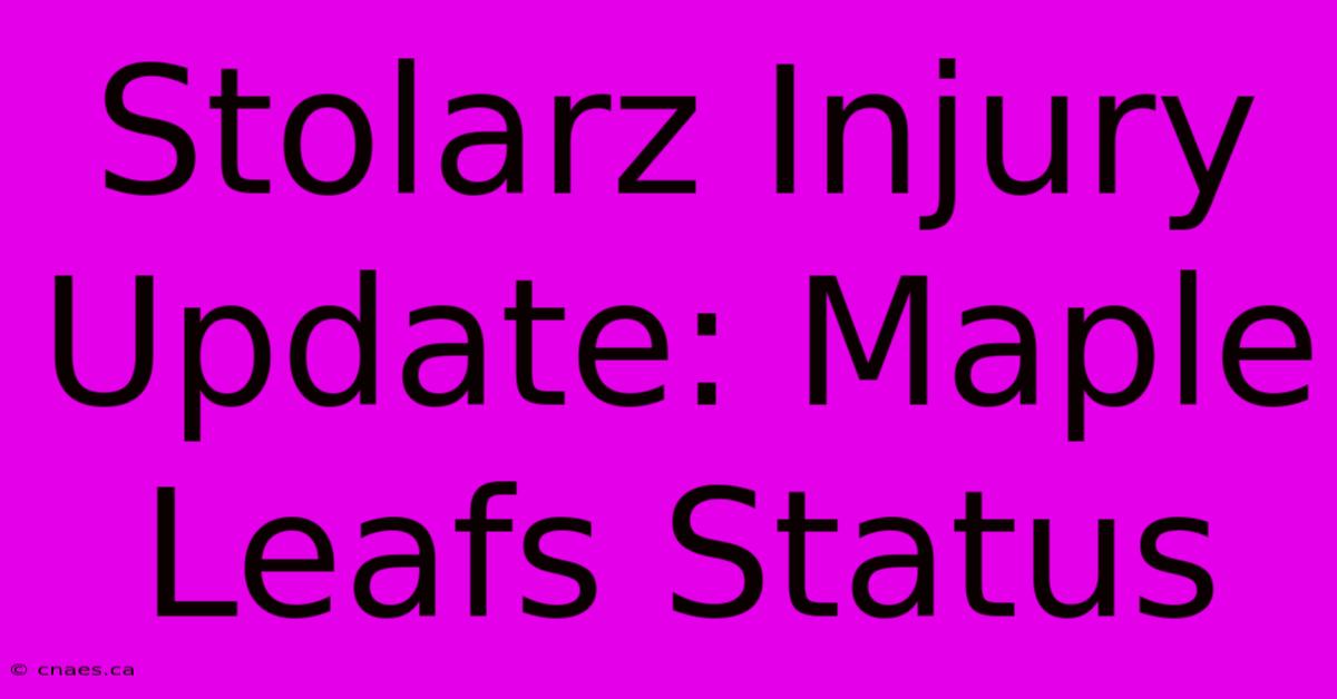 Stolarz Injury Update: Maple Leafs Status