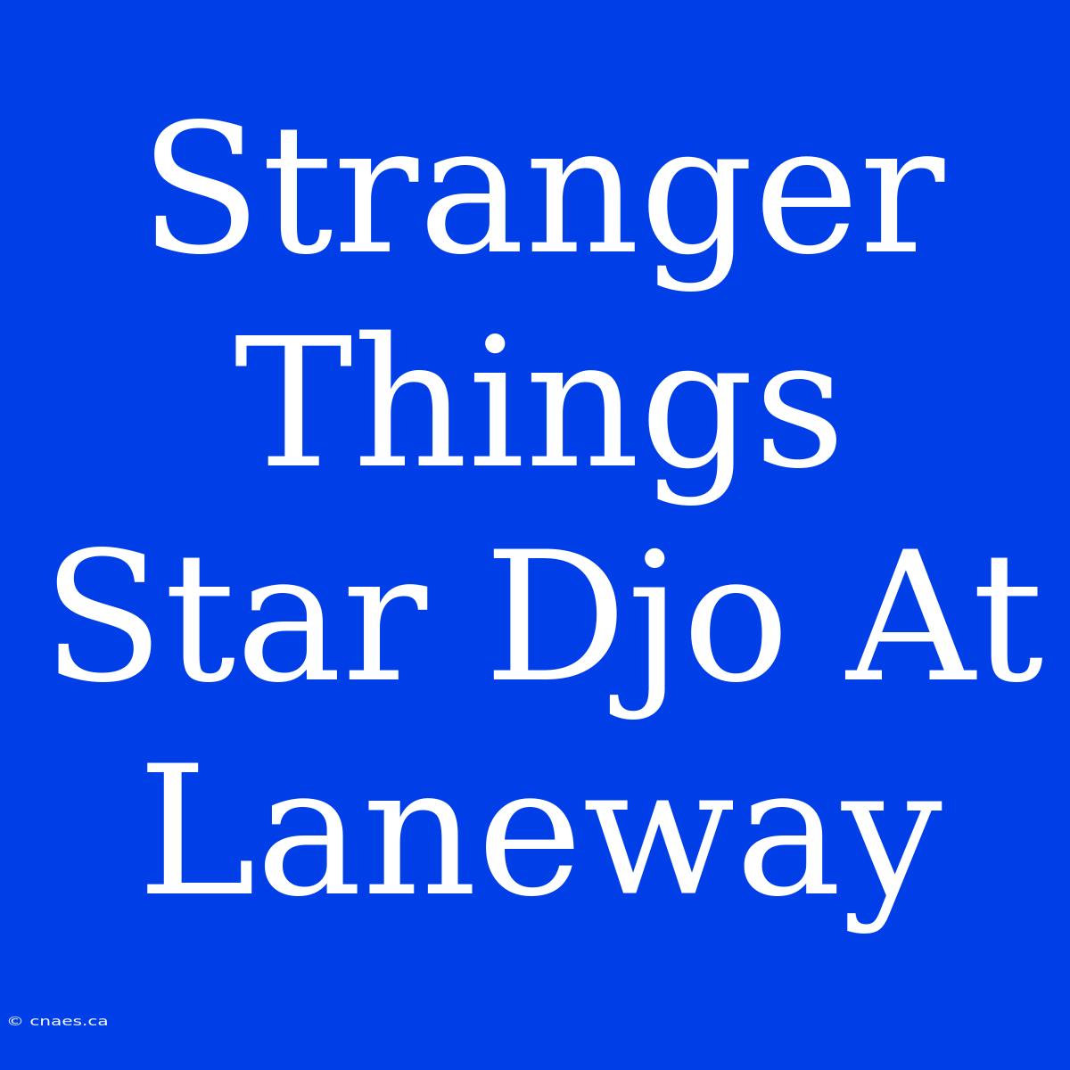 Stranger Things Star Djo At Laneway