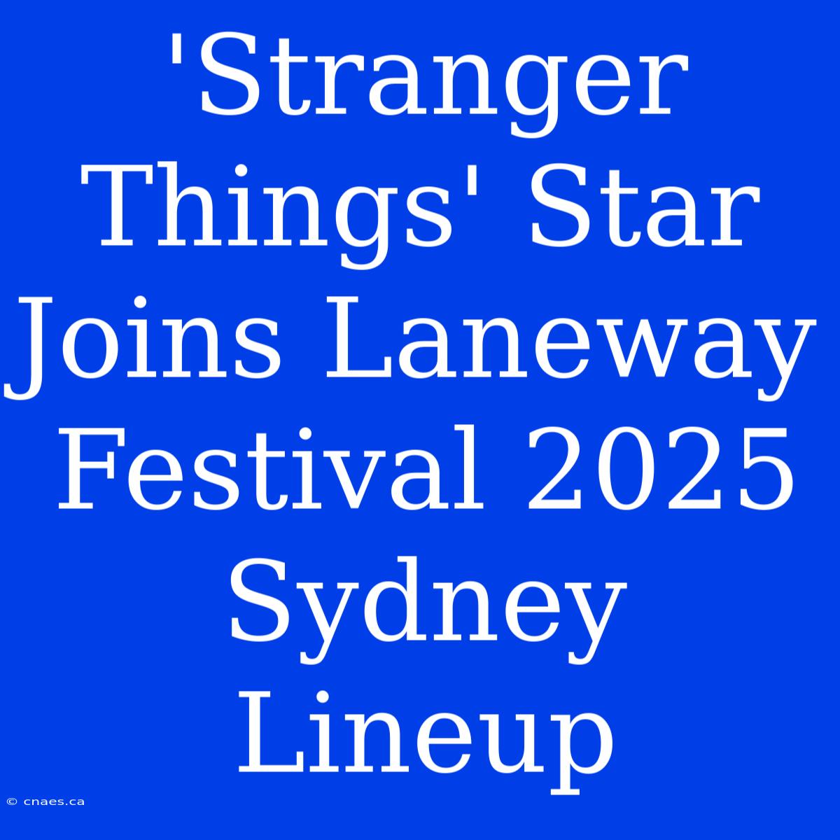 'Stranger Things' Star Joins Laneway Festival 2025 Sydney Lineup