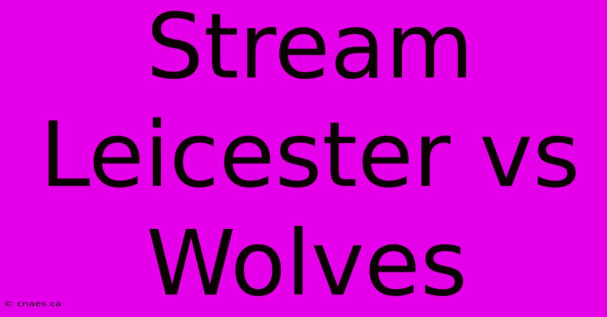 Stream Leicester Vs Wolves