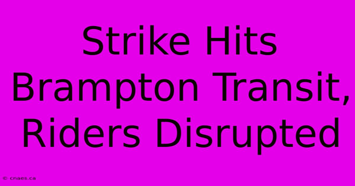 Strike Hits Brampton Transit, Riders Disrupted