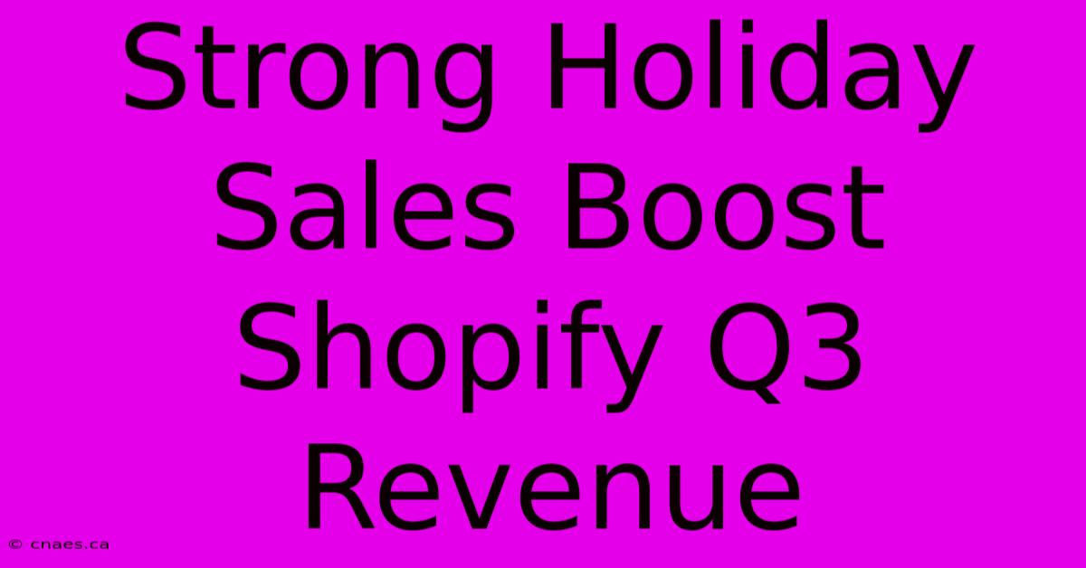 Strong Holiday Sales Boost Shopify Q3 Revenue