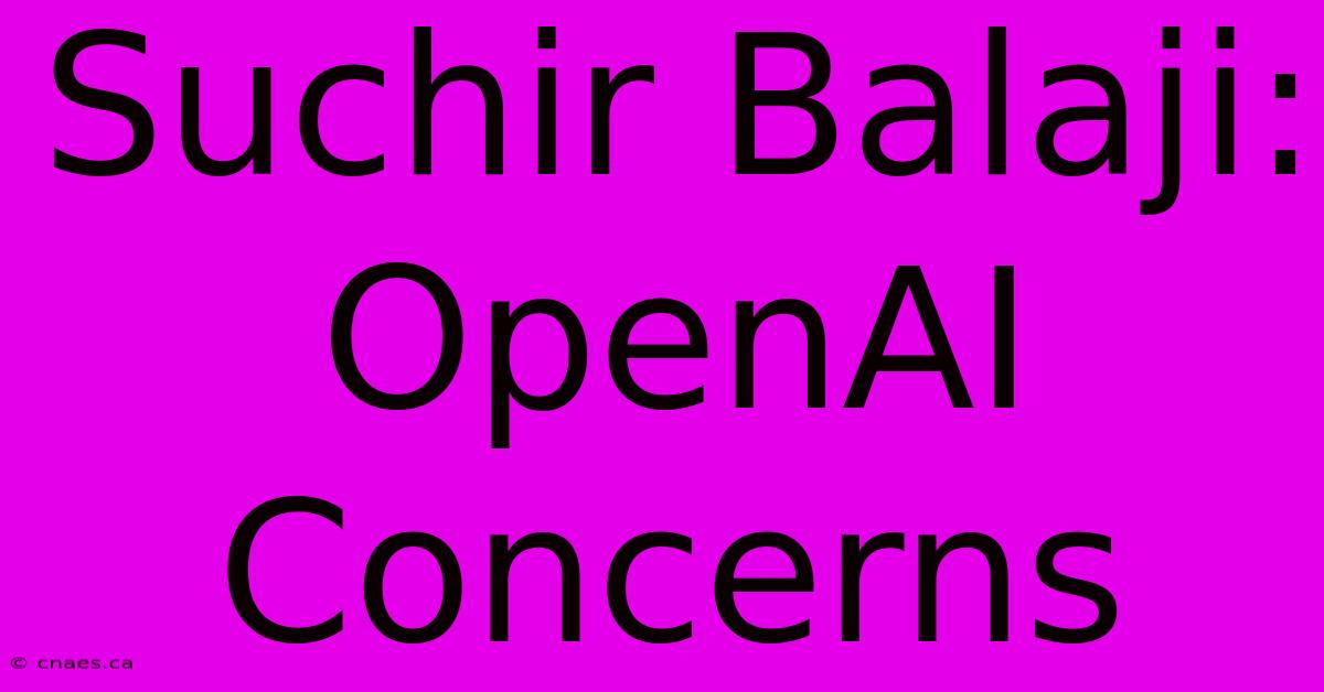 Suchir Balaji: OpenAI Concerns