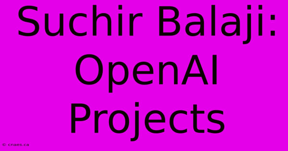 Suchir Balaji: OpenAI Projects