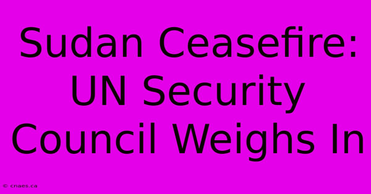 Sudan Ceasefire: UN Security Council Weighs In