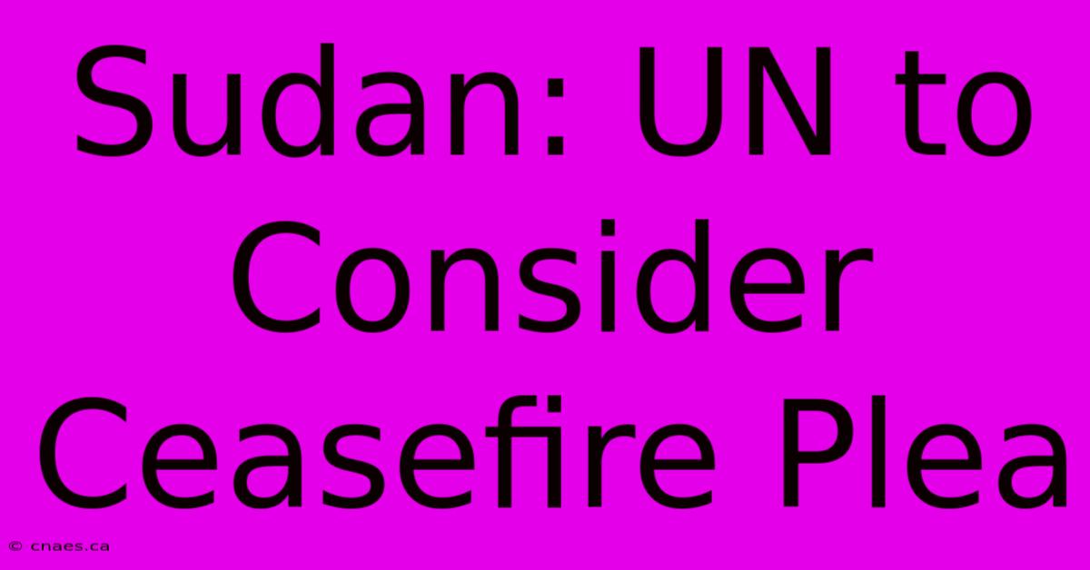 Sudan: UN To Consider Ceasefire Plea