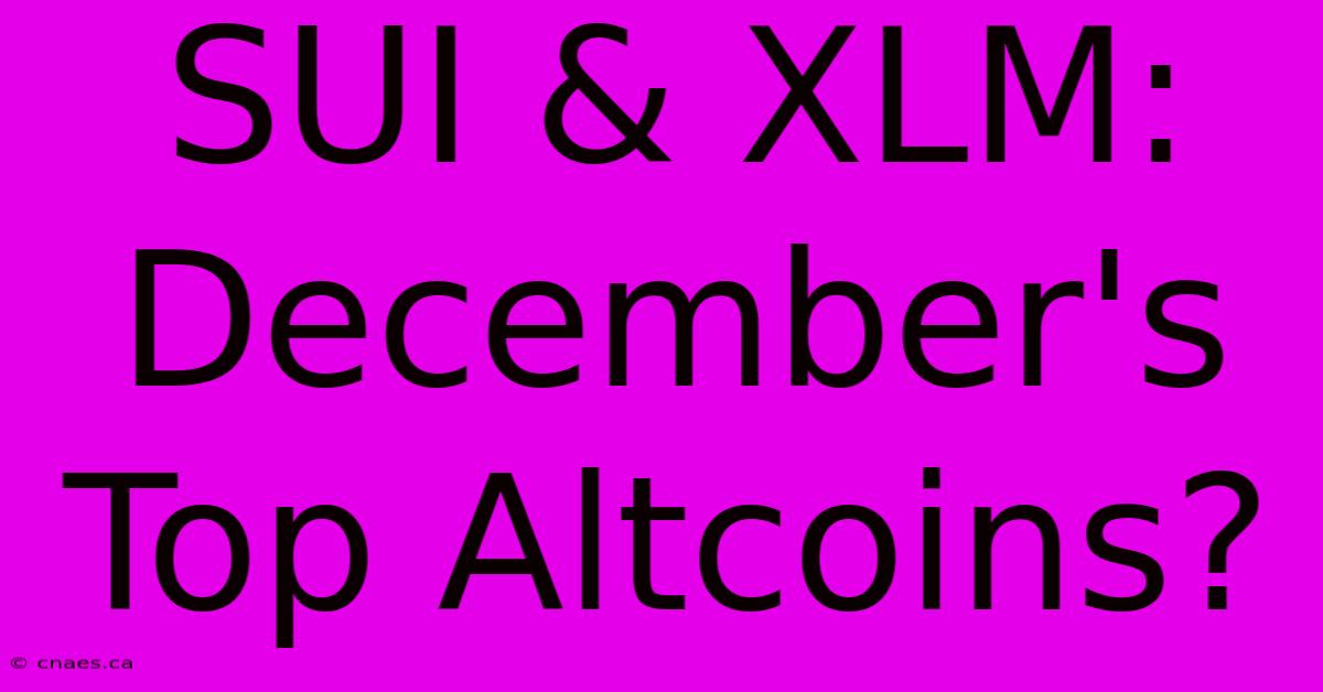 SUI & XLM: December's Top Altcoins?