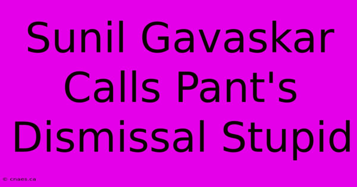 Sunil Gavaskar Calls Pant's Dismissal Stupid