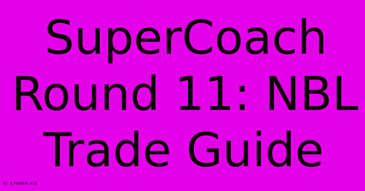 SuperCoach Round 11: NBL Trade Guide