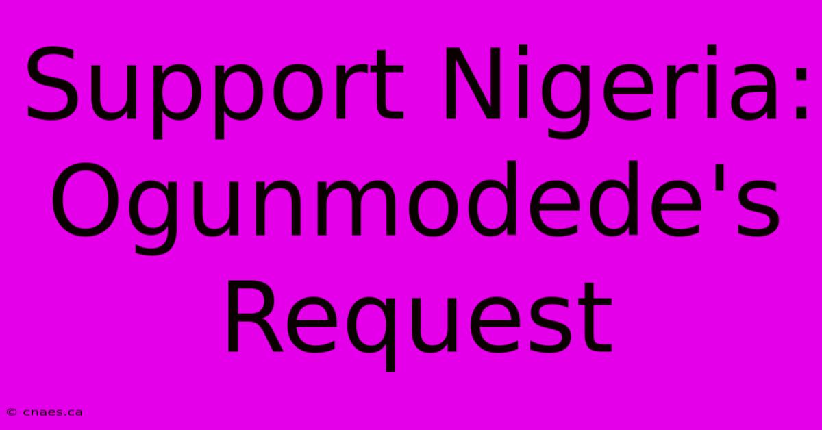 Support Nigeria: Ogunmodede's Request