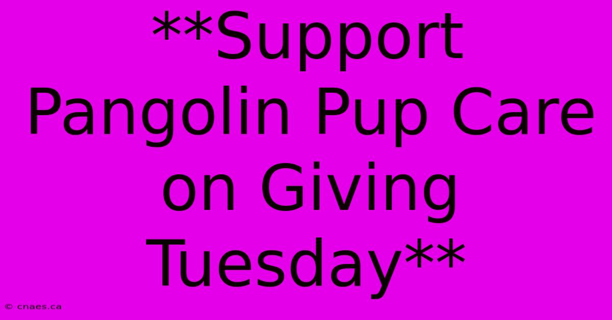 **Support Pangolin Pup Care On Giving Tuesday**