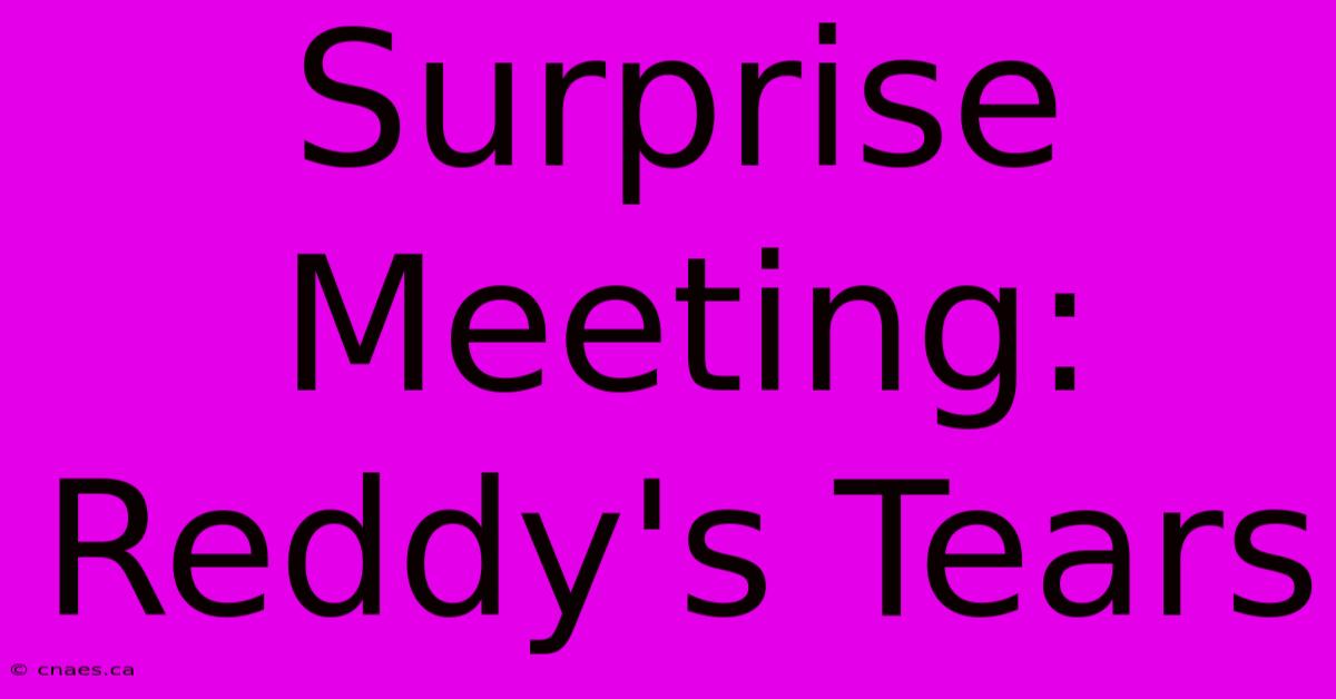 Surprise Meeting: Reddy's Tears