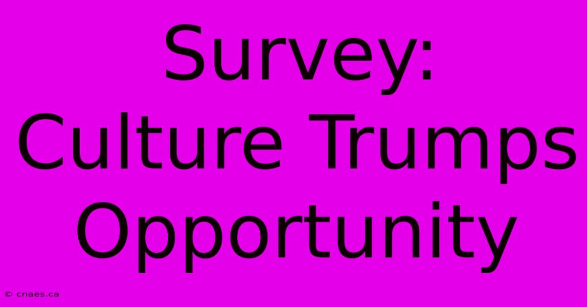 Survey: Culture Trumps Opportunity