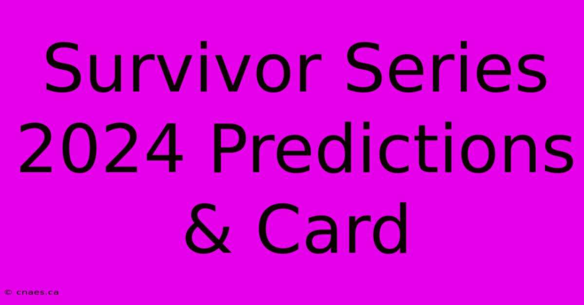 Survivor Series 2024 Predictions & Card