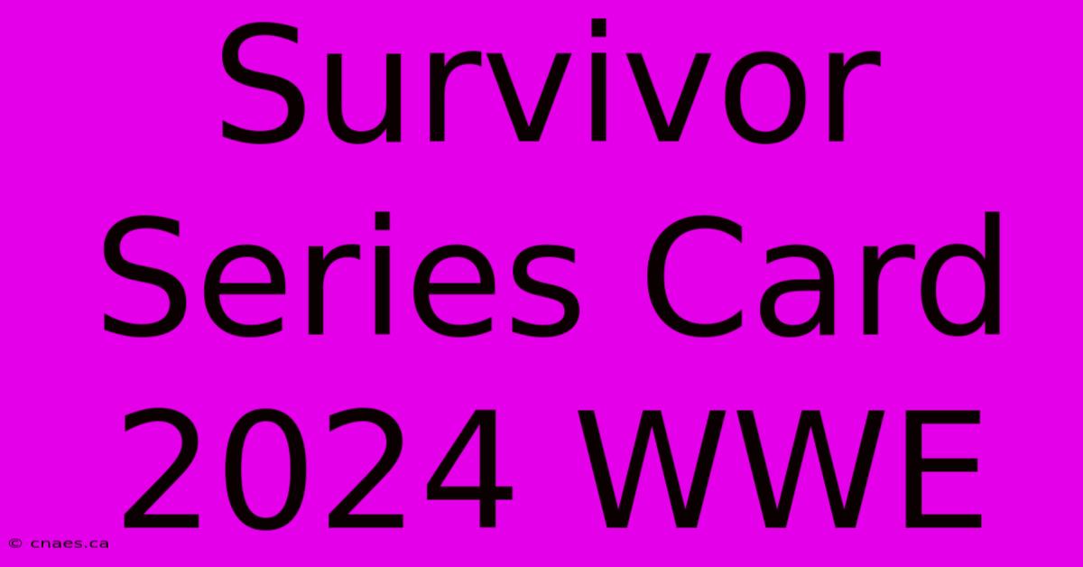 Survivor Series Card 2024 WWE