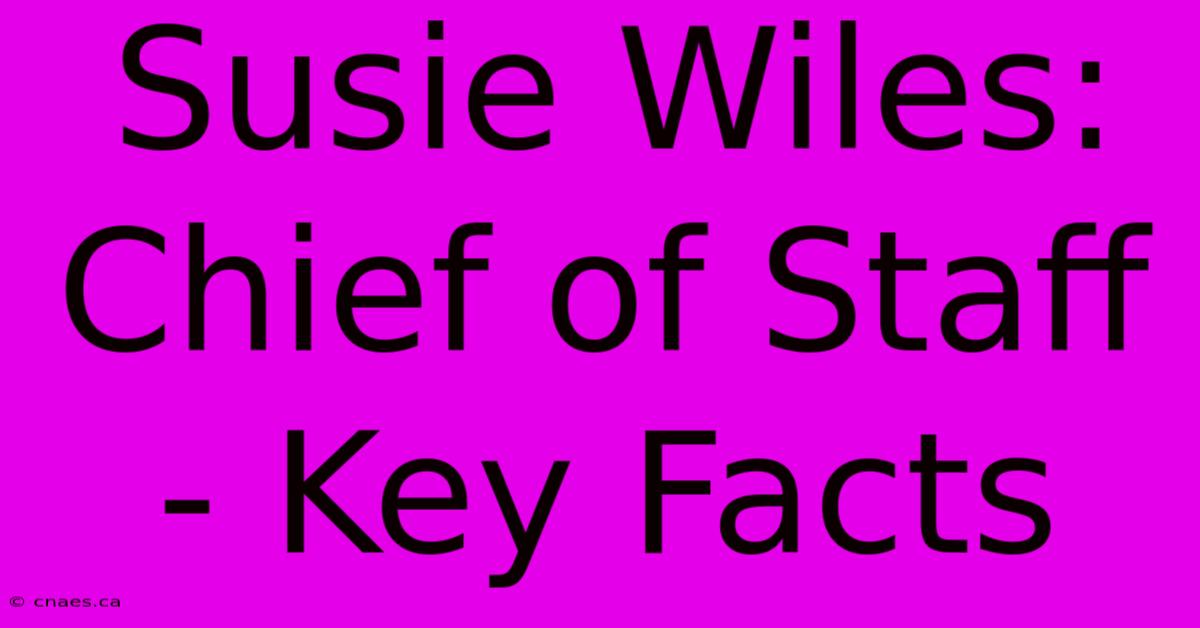 Susie Wiles: Chief Of Staff - Key Facts 