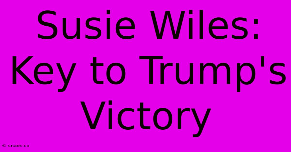 Susie Wiles: Key To Trump's Victory