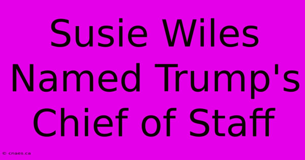 Susie Wiles Named Trump's Chief Of Staff