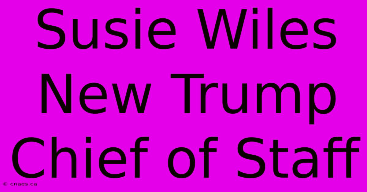 Susie Wiles New Trump Chief Of Staff