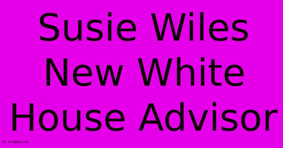 Susie Wiles New White House Advisor 