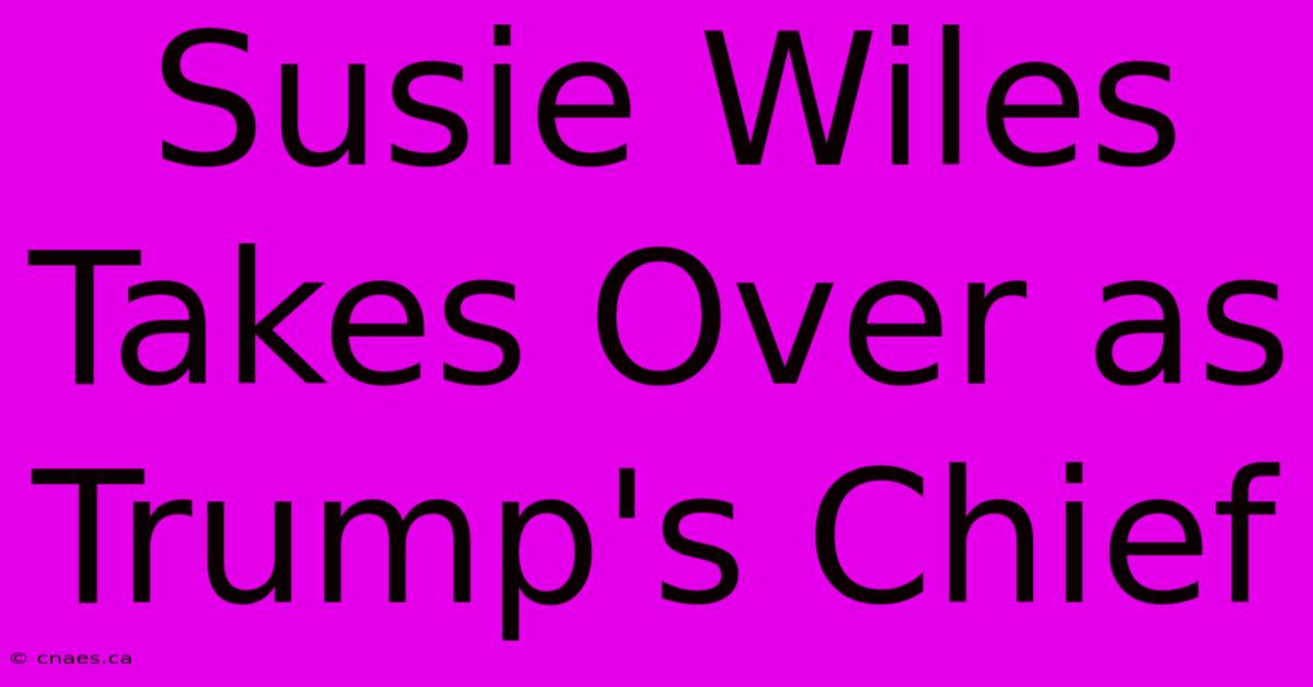 Susie Wiles Takes Over As Trump's Chief