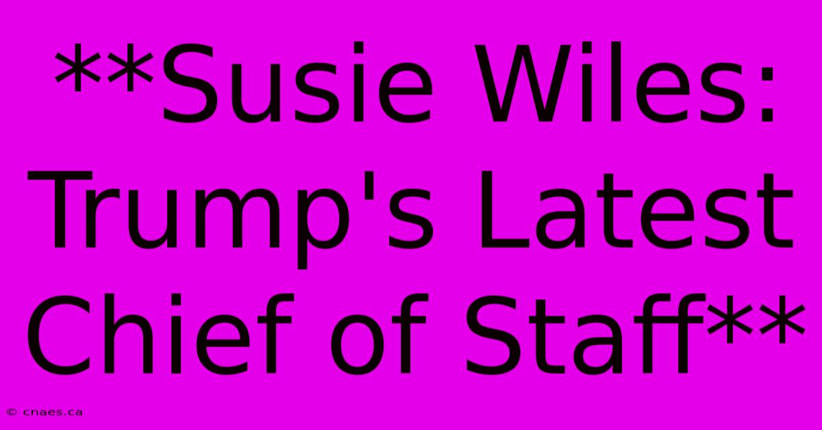 **Susie Wiles: Trump's Latest Chief Of Staff** 