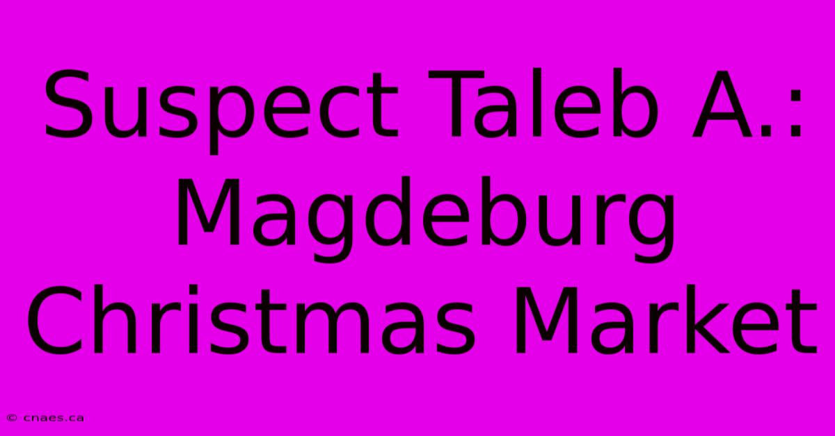 Suspect Taleb A.: Magdeburg Christmas Market