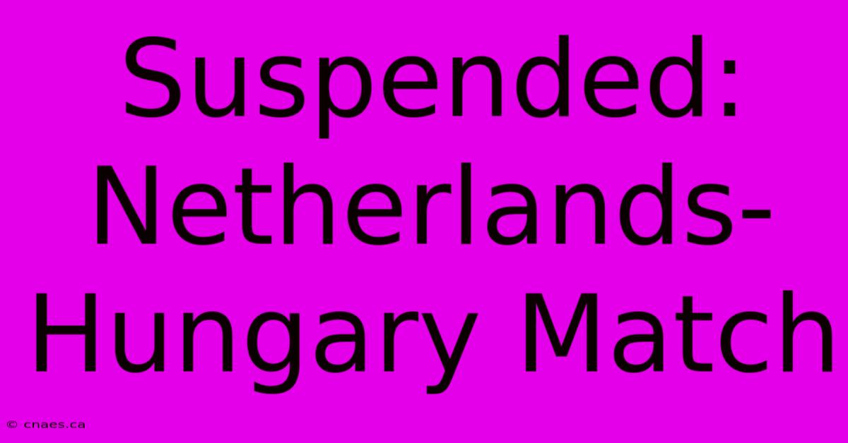 Suspended: Netherlands-Hungary Match