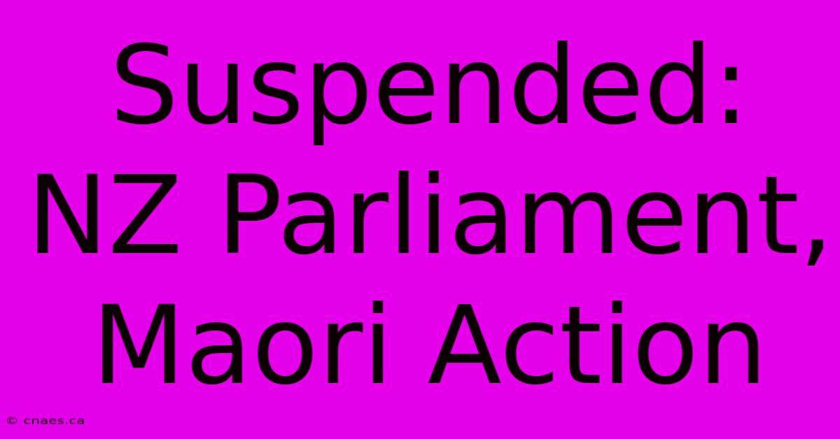 Suspended: NZ Parliament, Maori Action