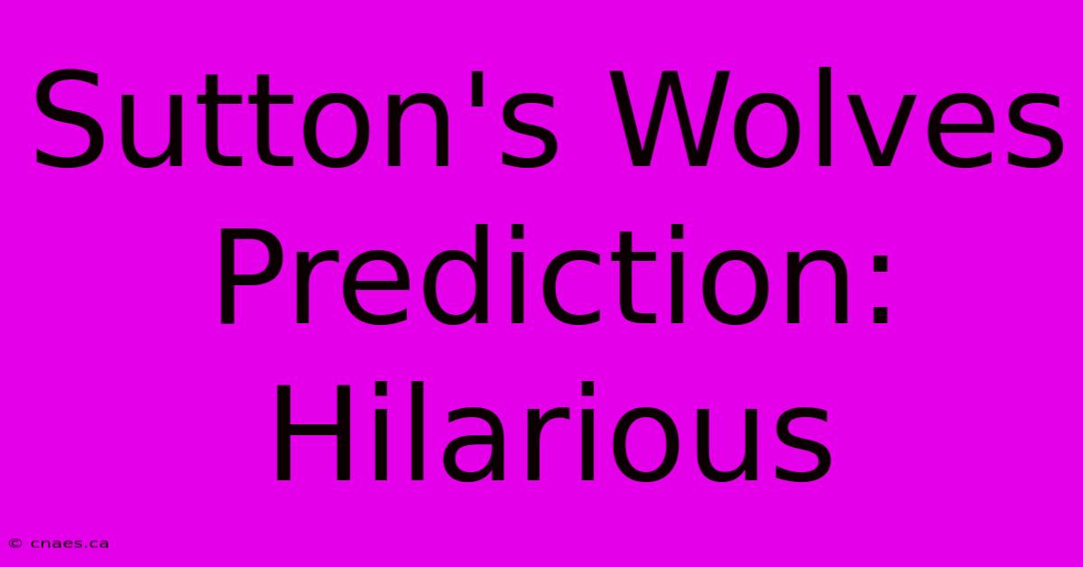 Sutton's Wolves Prediction: Hilarious